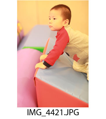 ̫ԭ������ ������Ӱ
